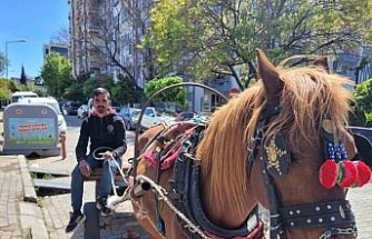 Aydın’ın son at arabacısı, evinin ve 5 çocuğunun iaşesini atıyla karşılıyor
