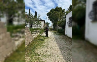 Belediye ekipleri Akköy’de otlara geçit vermiyor