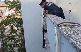 Çatı kenarında mahsur kalan yavru kediyi, itfaiye kurtardı