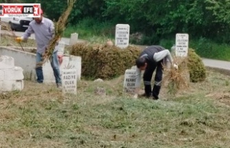 EFELER’İN EKİPLERİNDEN MEZARLIKLARDA KAPSAMLI ÇALIŞMA