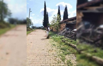 Karacasu Belediyesi’nden yeşil alanlarda yoğun mesai