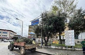 Karacasu’da çevre düzenlemesi devam ediyor