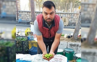 Vazgeçilmez yaz meyvesi erik tezgahlarda yerini aldı