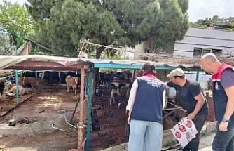Aydın’da kurban satış ve kesim yerleri denetlendi