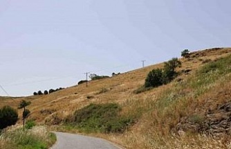 Aydın’da paylaşılamayan meralar boş kaldı, yangın tehlikesi arttı