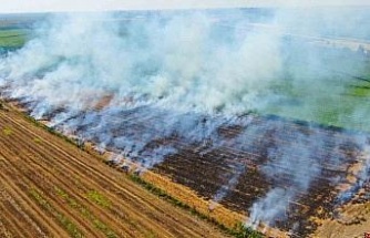 Aydınlı çiftçiler anız yakımına karşı uyarıldı