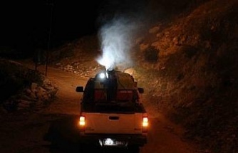 Bozdoğan’da ilaçlama çalışmaları sürüyor