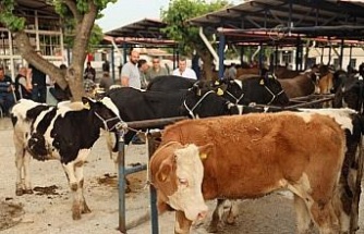 Didim’de kurban kesim yerleri belli oldu