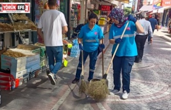 EFELER’İN SOKAKLARINDA YENİ DÖNEM "TEMİZLİK ÇALIŞMALARINA KADIN  ELİ DEĞİYOR"
