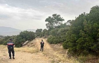 Orman yangınlarına karşı denetimler sıklaştırıldı