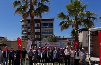 Buharkent’te domates fideleri üreticilere teslim edildi