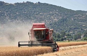 Çiftçilerden hayvan üreticilerine kritik uyarı: "Elinizi Çabuk Tutun"