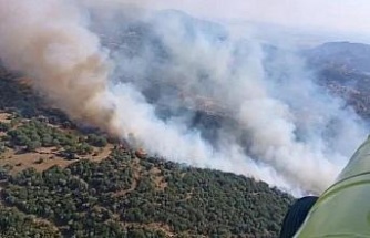 Karacasu Belediyesi’nden yangın uyarısı