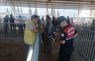 Kurban Bayramı öncesi jandarmadan vatandaşa dolandırıcılık uyarısı