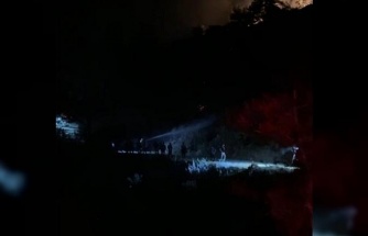 Nazilli’deki orman yangını kontrol altına alındı