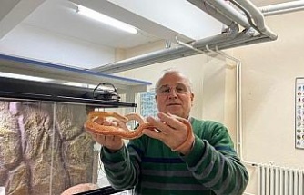 Yılan Müzesi, 185 sürüngen türüyle eğitim ve araştırma merkezine dönüştü