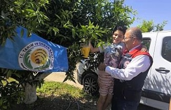 Aydın’da üreticilere 12 bin Akdeniz meyve sineği tuzağı teslim edildi