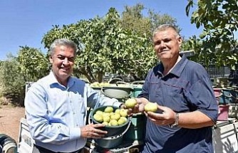 Başkan Erol’dan Taze İncir Festivaline davet