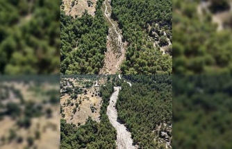 Çine’de orman yangınlarına karşı önleyici temizlik çalışması yapıldı