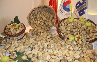 "Kuru incir ihracatında, üretici üzerine kirli oyun iddiası"