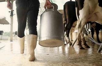 Aydın’da 9 bin 543 üreticiye toplam 66 milyon TL ödeme yapılacak