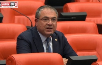 KARAKOZ: “İTHALATÇIYA DEĞİL, ZEYTİNCİMİZE, ZEYTİNİMİZE SAHİP ÇIKIN!”