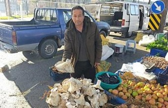 Aydın’daki dev mantarlar pazarda ilgi odağı oldu