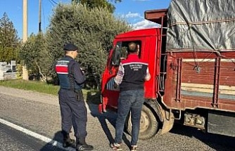 Bozdoğan’da ilçe tarım ve jandarmadan yol denetimi
