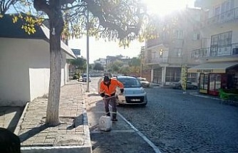 Germencik’te kireçleme ve ağaç budama çalışması