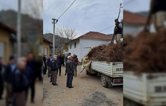 Köşk’te köklü kestane fidanları üreticilere dağıtıldı