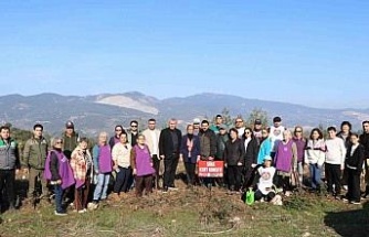 Söke’de fidanlar toprakla buluştu