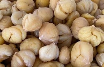 Türkiye’nin yüzde 33’ünü karşılayan Aydın Kestanesi, ihracata hazırlanıyor