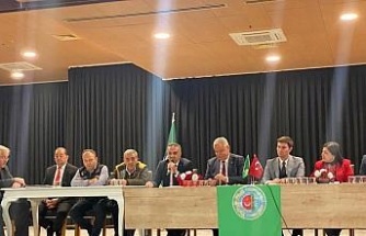 Zeytin üreticileri için destek ve markalaşma önerisi