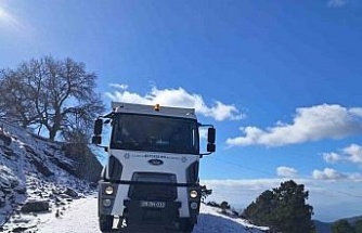 Aydın Büyükşehir Belediyesi’nden Paşa Yaylası’nda tuzlama çalışması