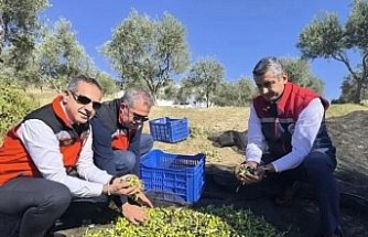 Aydın’da bir yılda 3 bini aşkın tarımsal denetim yapıldı