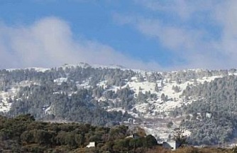 Aydın’ın yüksek kesimleri beyaza büründü