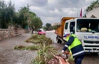 Didim Belediyesi sahada çalışmalarını sürdürüyor