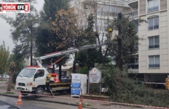 Efeler Belediyesi Olası Risklerin Önüne Geçiyor