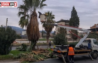 EFELER BELEDİYESİ’NDEN UMURLU KARAYOLU’NDA ÇALIŞMA