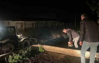 Fırtına mezarlıkta ağaçları devirdi, belediye ekipleri anında müdahale etti