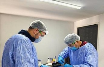 Germencik Belediyesi sokak hayvanları için kısırlaştırma çalışmalarını sürdürüyor