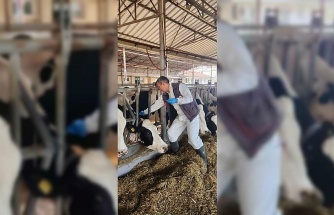 Söke TAYEM’de tüberküloz ve brucella taraması yapıldı