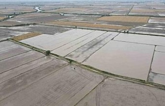 Söke’nin 2026 yılı ürün deseni belli oldu