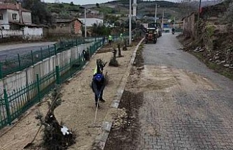 Yenipazar’da belediye ekipleri sahaya indi