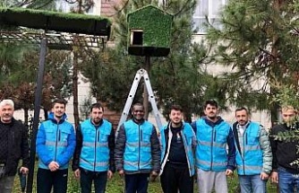 Yurt öğrencileri kuşlar için ev yaptılar