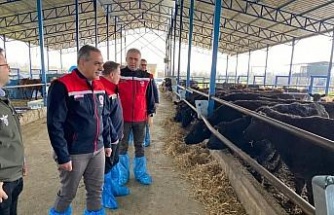 Devlet desteğiyle işini büyüten işletmeler incelendi