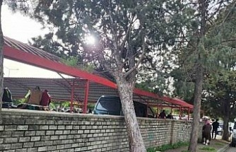 Efekent Pazaryeri’nde rüzgar ağacı devirdi
