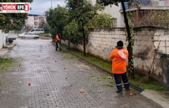 EFELER BELEDİYESİ’NDEN UMURLU’YA  KAPSAMLI TEMİZLİK VE BAKIM ÇALIŞMASI