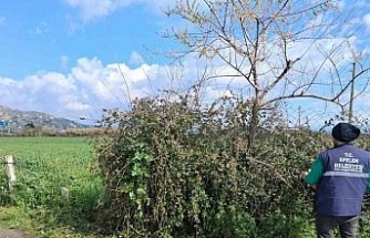 Efeler’in yeşil alanlarında temizlik çalışması sürüyor