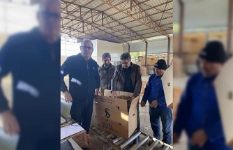 Karacasu’da tütünler paketlenmeye başladı, üretici fiyatlardan dert yandı
